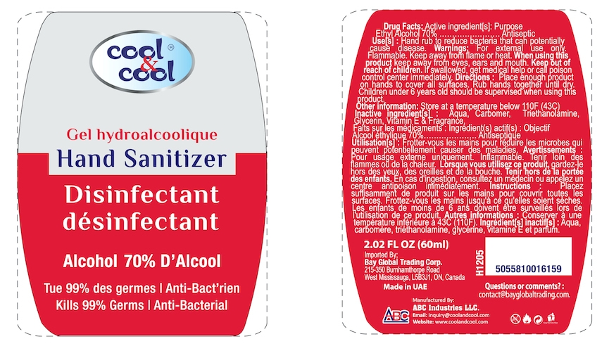 disinfectant sanitizer 60ml