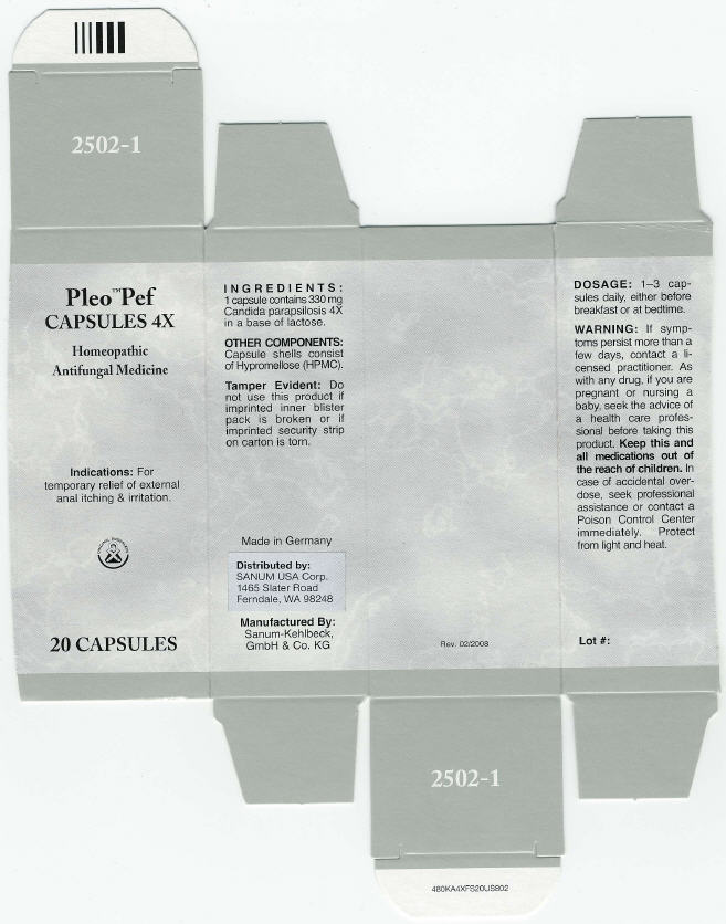 Principal Display Panel - 20 Capsules Carton