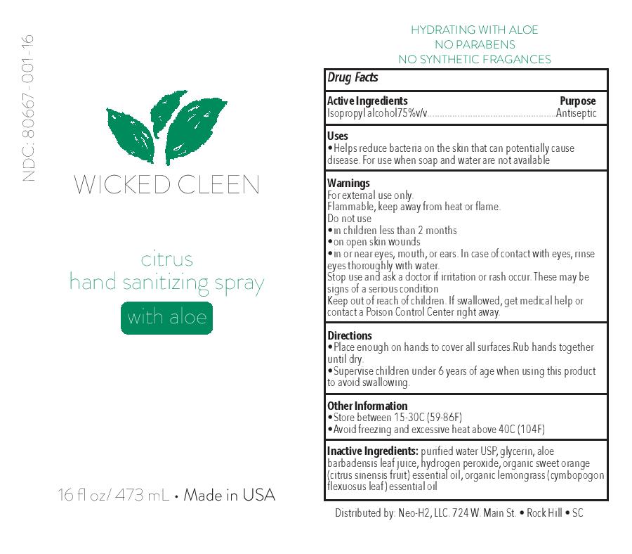 Wicked Cleen 16 oz