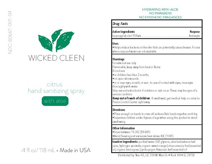 Wicked Cleen 4 oz