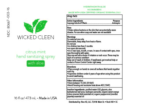 Wicked Cleen Citrus Mint Hand Sanitizer- 16oz bottle