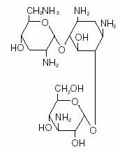 Structure Image