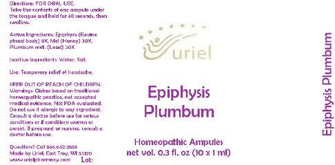 EPIPHYSIS PLUMBUM Liquid