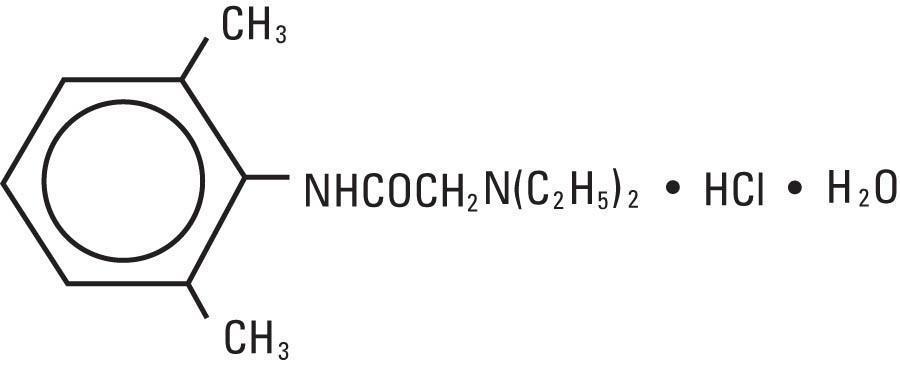 Lidocaine Epinephrine 1