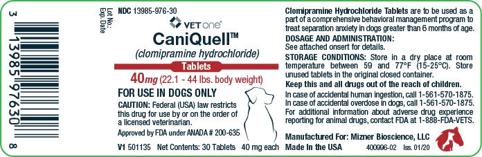 clomipramine hydrochloride 40 mg (22.1-44 lbs. body weight)
