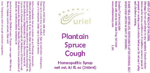 plantainsprucecoughsyrup240