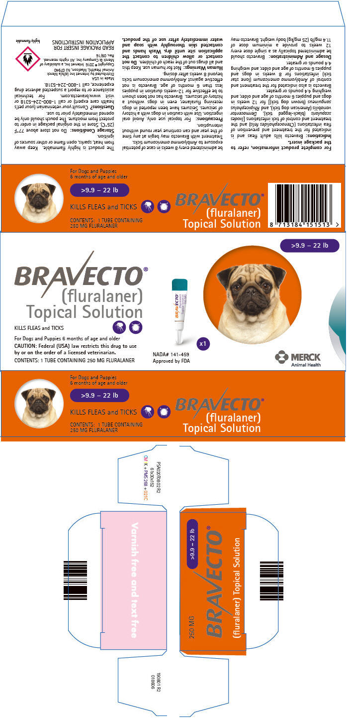 Bravecto Topical Solution for Dogs 9.9-22 lbs (1 Tube