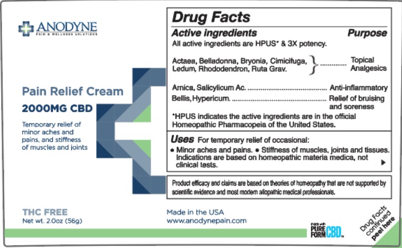 Anodyne Pain Relief Cream Panel 1