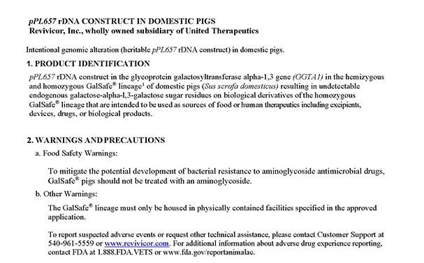 pPL657 rDNA construct in the GGTA1 gene in domestic pigs