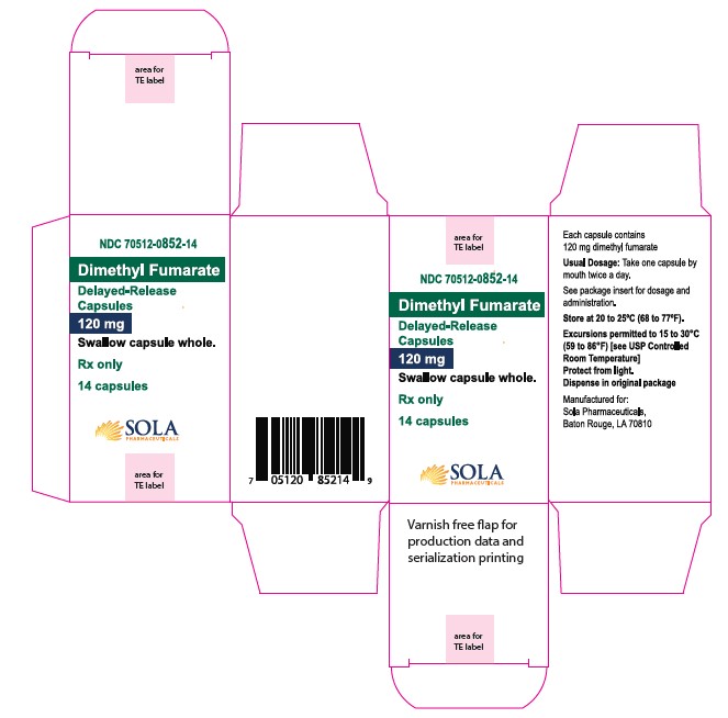 70512-852-14 120 mg carton