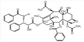 Paclitaxel-image1