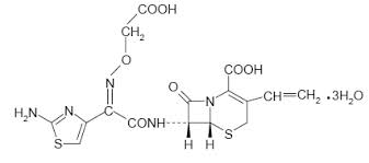 Cefixime Structure