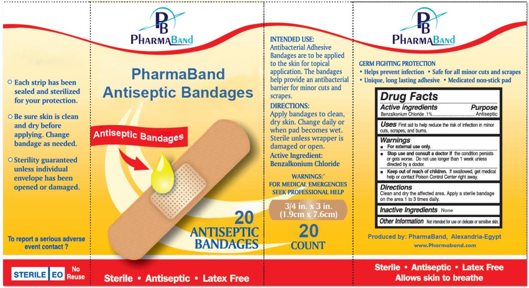 PRINCIPAL DISPLAY PANEL
PharmaBand
Antiseptic Bandages
20
Antiseptic 
Bandages