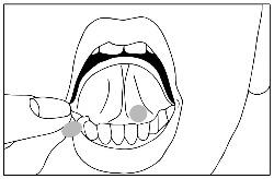 Mouth Illustration