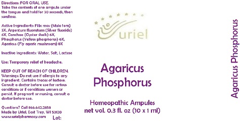 AgaricusPhosphorusAmpule