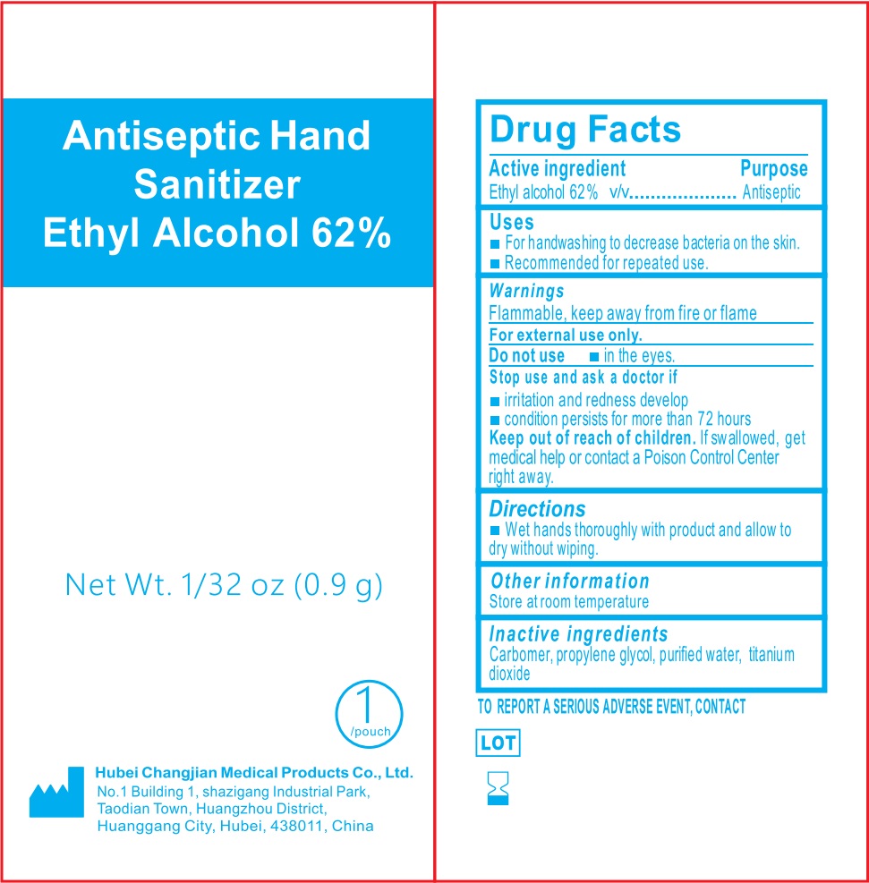 Antiseptic Hand Sanitizer Ethyl Alcohol