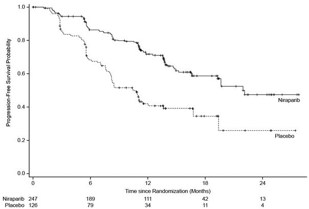 Figure 1. Progression-Free Survival in Patients with HR-Deficient Tumors (Intent-to-Treat Population, n = 373)