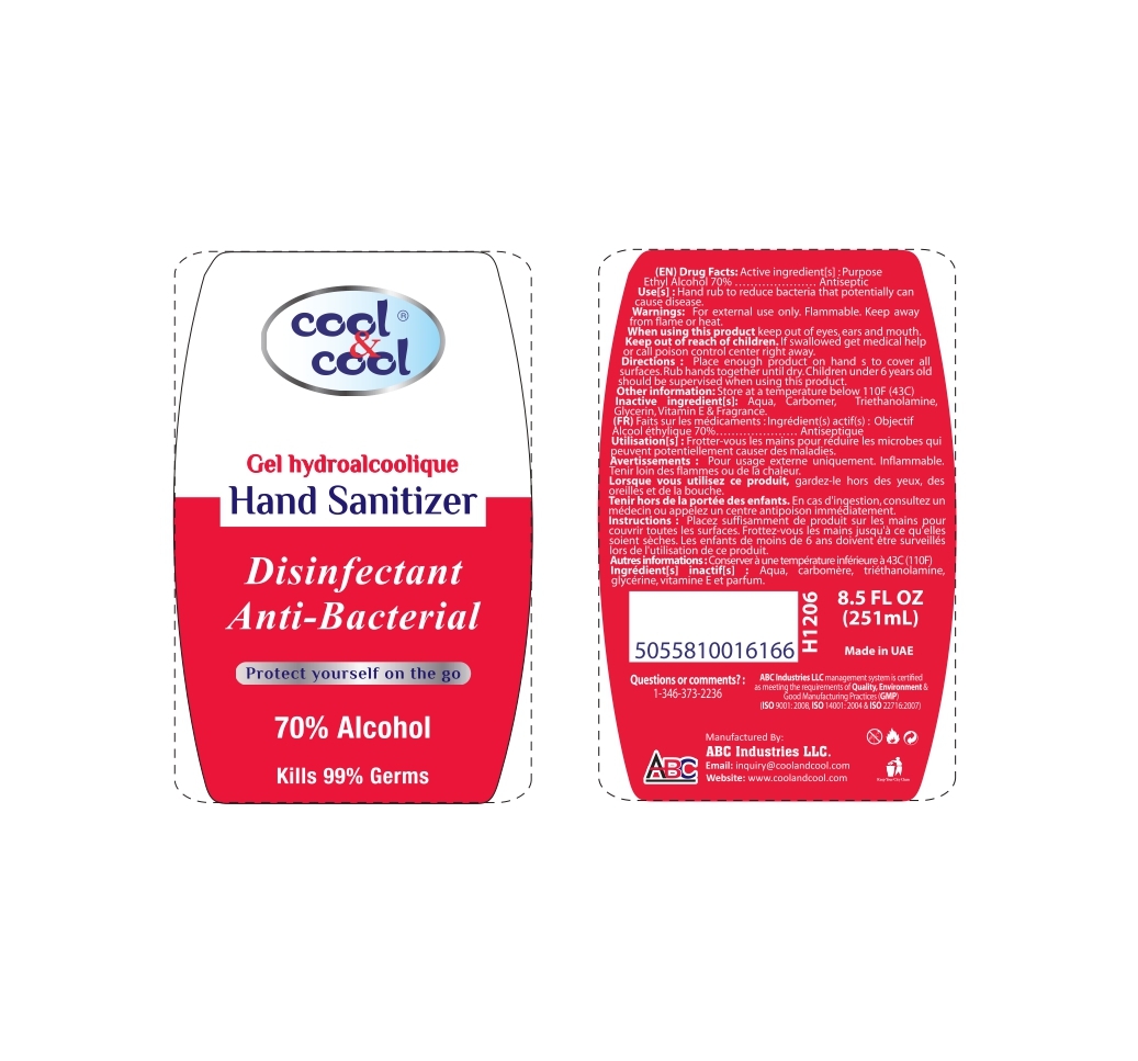 250ml sanitizer Disinfectant
