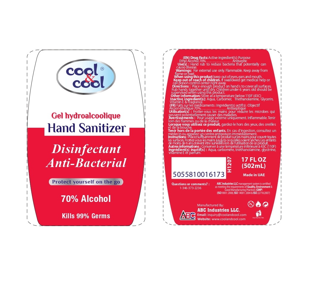 500ml sanitizer Disinfectant