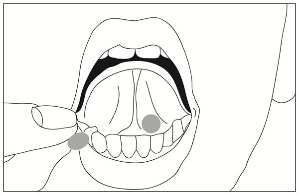 mouth