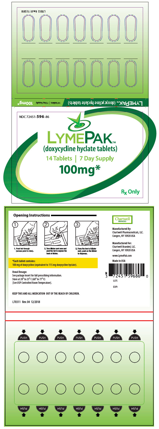 PRINCIPAL DISPLAY PANEL - 100 mg Tablet Blister Pack