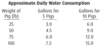 Water Consumption