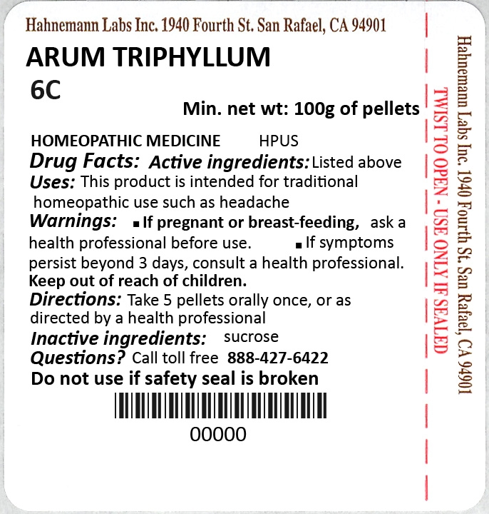 Arum Triphyllum 6C 100g