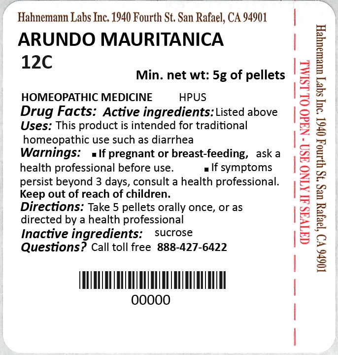 Arundo Mauritanica 12C 5g