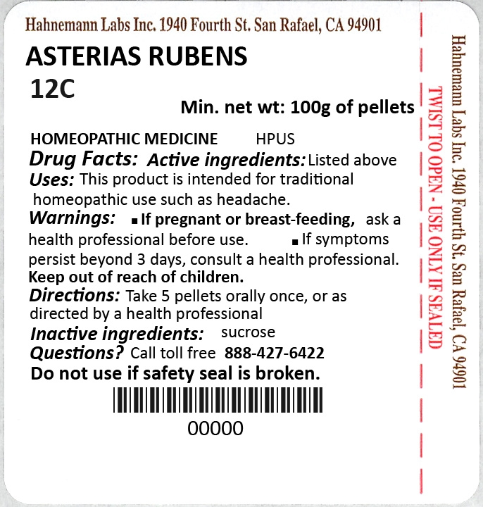 Asterias Rubens 12C 100g
