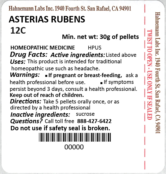 Asterias Rubens 12C 30g