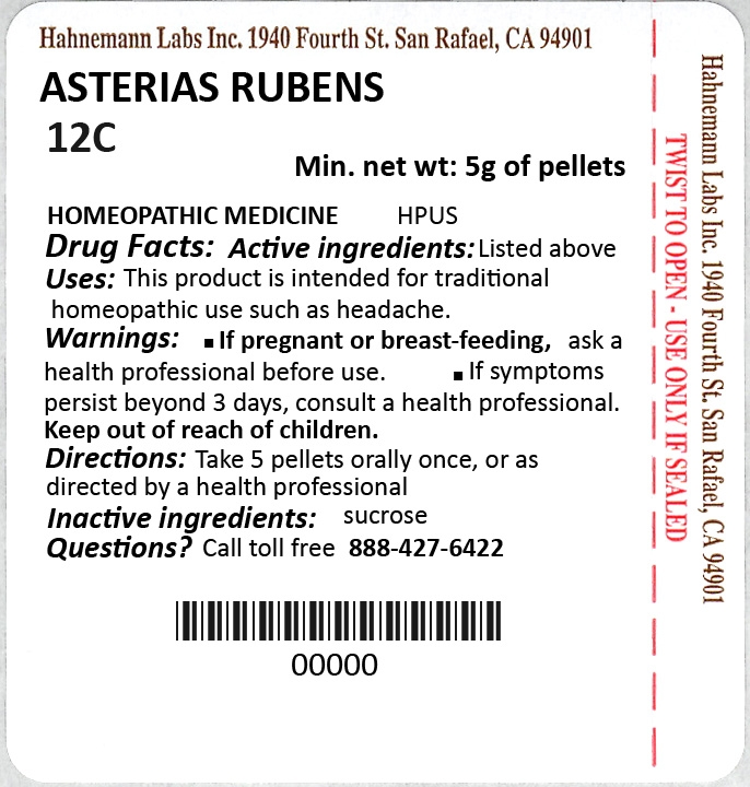 Asterias Rubens 12C 5g