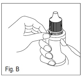 fig B