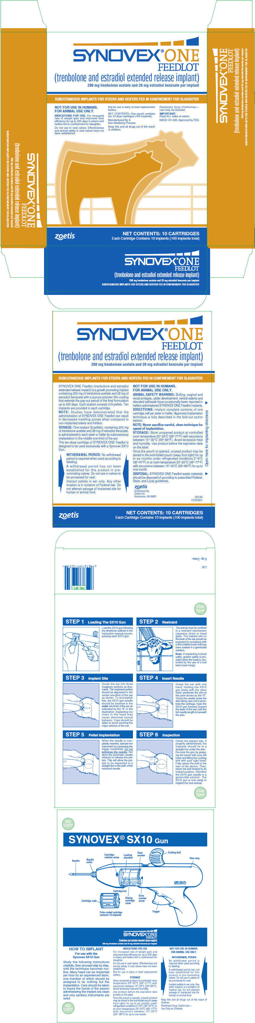 PRINCIPAL DISPLAY PANEL - 10 Cartridge Implant Carton