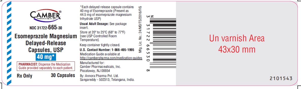 esomeprazolemagnesiumdrcap40mg30scount