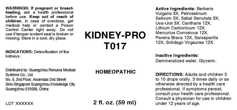 Kidney-Pro