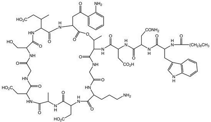 daptomycin-spl-structure
