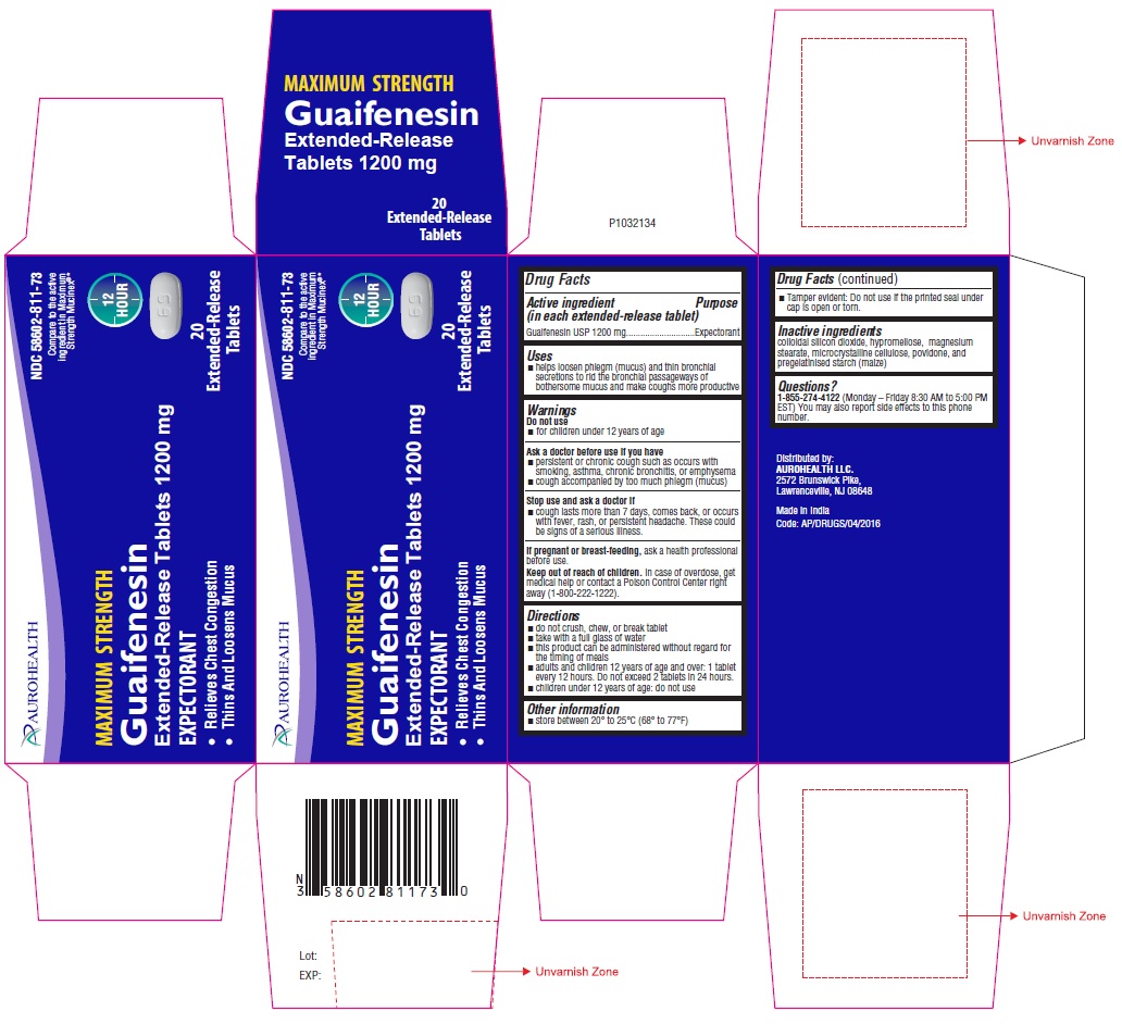 PACKAGE LABEL-PRINCIPAL DISPLAY PANEL - 1200 mg (20 Tablet Carton Label)