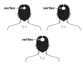 vertex-leaflet-image.jpg