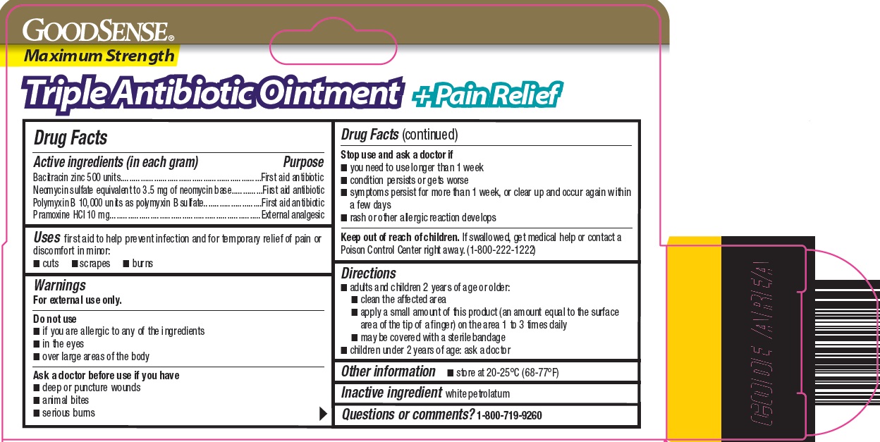 goodsense triple antibiotic ointment + pain relief