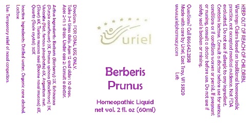 BerberisPrunusLiquid