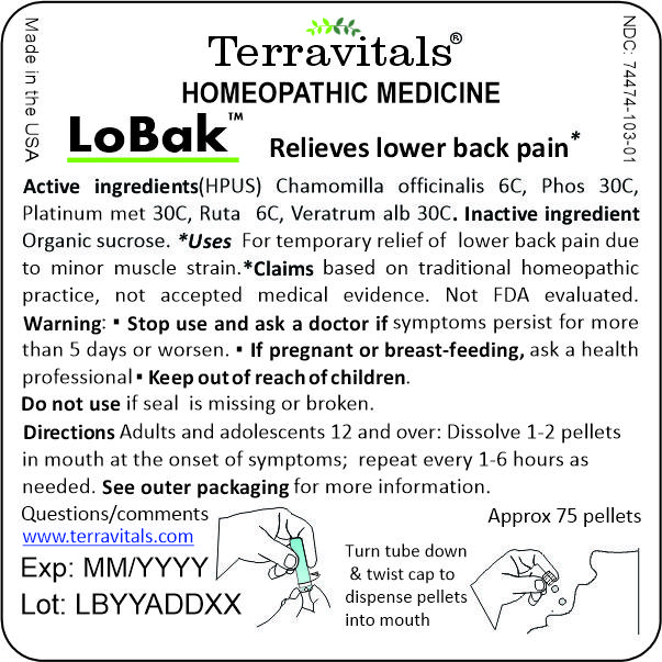 Internal label LoBak
