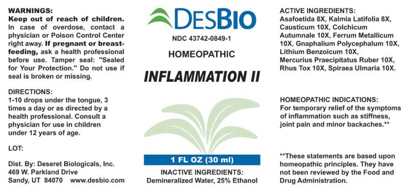 Inflammation II