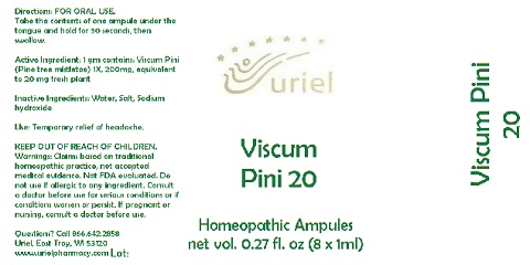 ViscumPini20Ampules