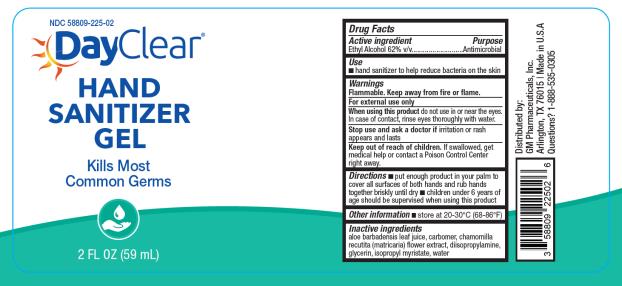 PRINCIPAL DISPLAY PANEL
NDC: <a href=/NDC/58809-225-02>58809-225-02</a>
DayClear
HAND
SANITIZER
GEL
2 FL OZ (59 mL)
