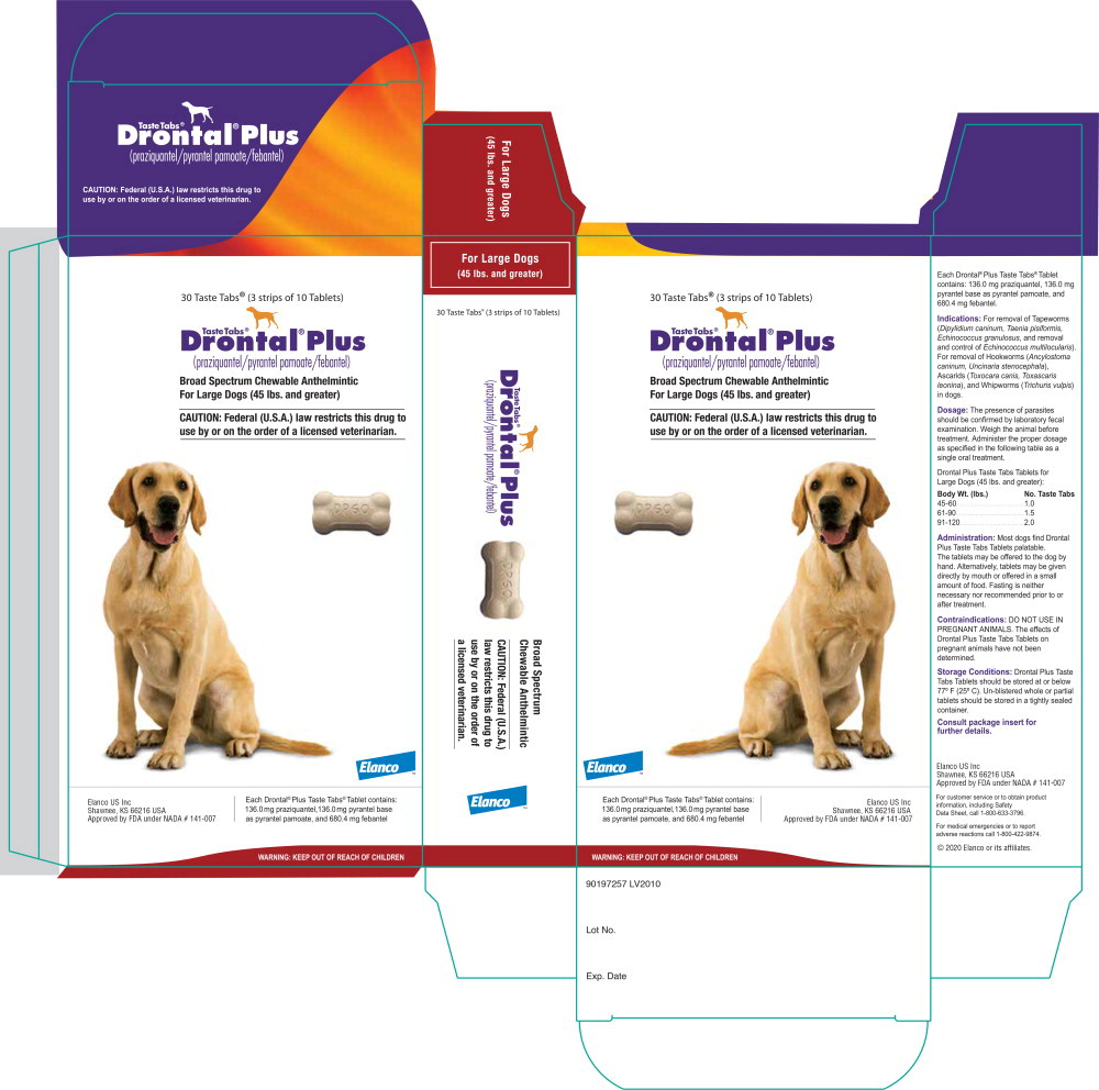 Principal Display Panel - Large Dogs (45 lbs. and greater) Box Label
