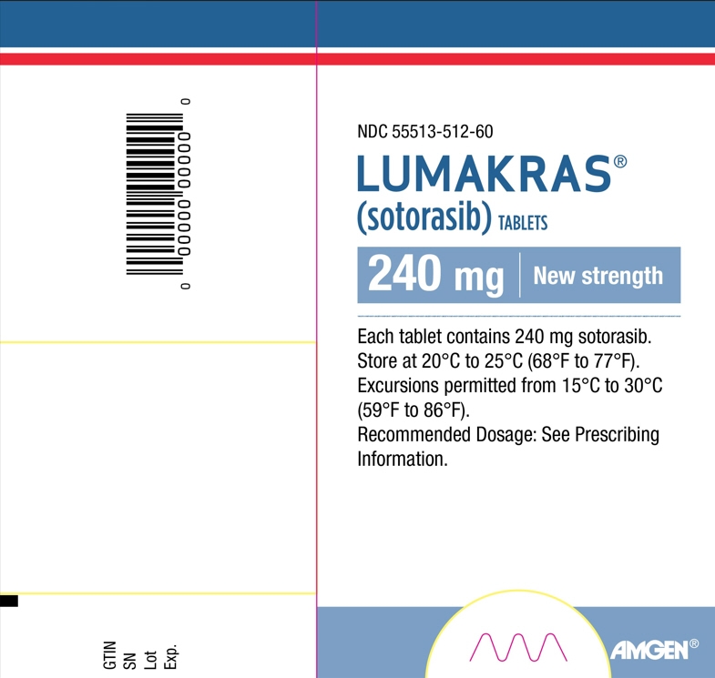 PRINCIPAL DISPLAY PANEL - 240 mg Tablet Bottle Carton Label