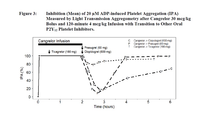 cangrelor-spl-figure-3