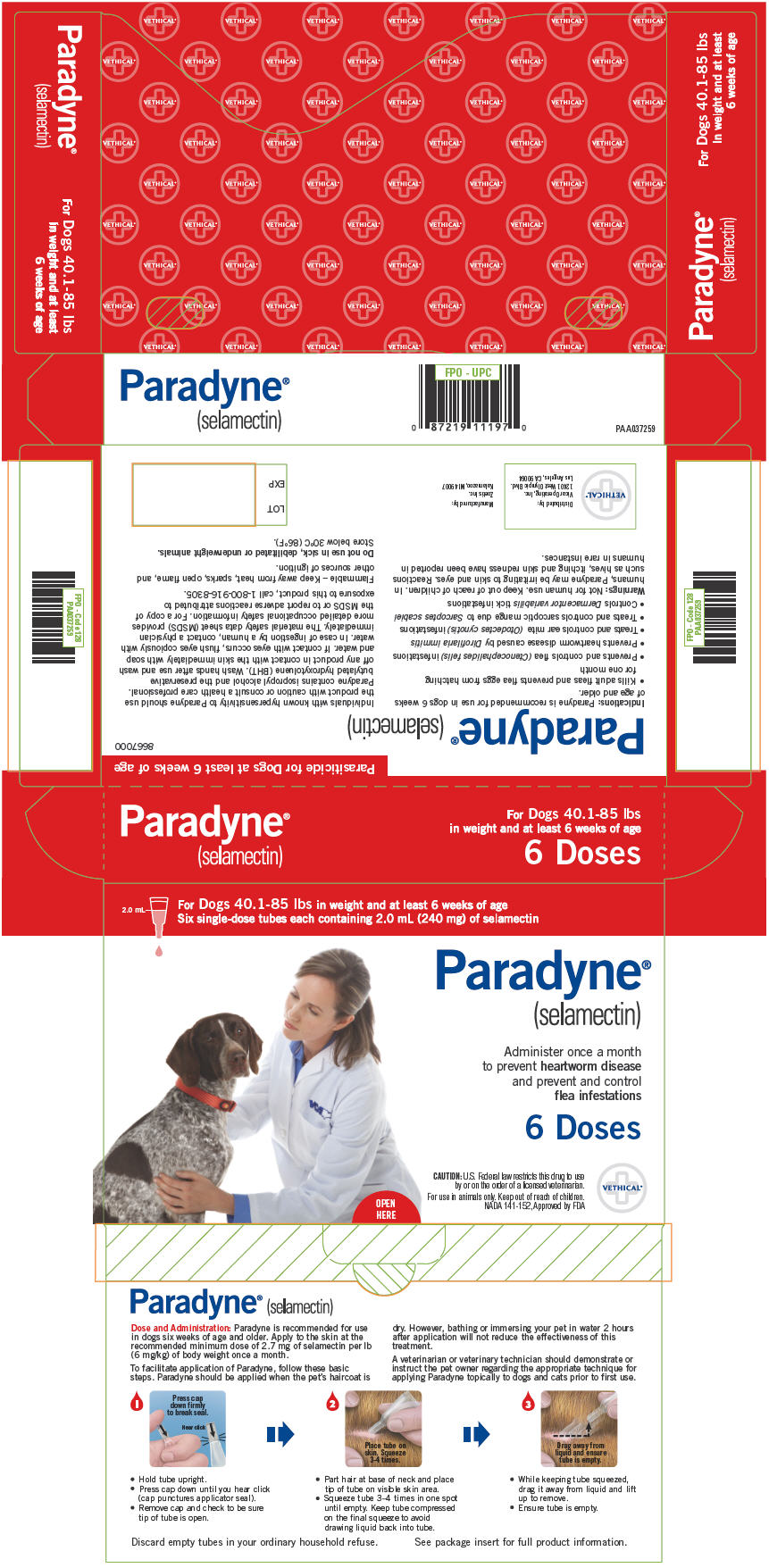 PRINCIPAL DISPLAY PANEL - 240 mg Tube Carton