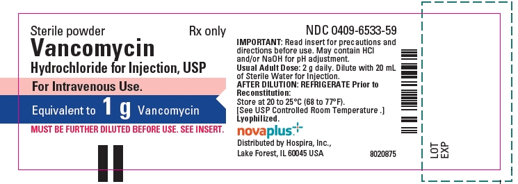 PRINCIPAL DISPLAY PANEL - 1 g Vial Label