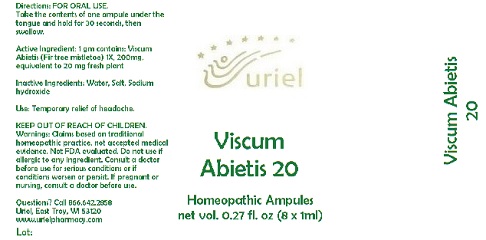 ViscumAbietis20Ampules